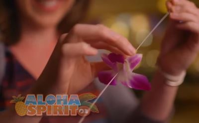 Princess Cruises aloha spirit program